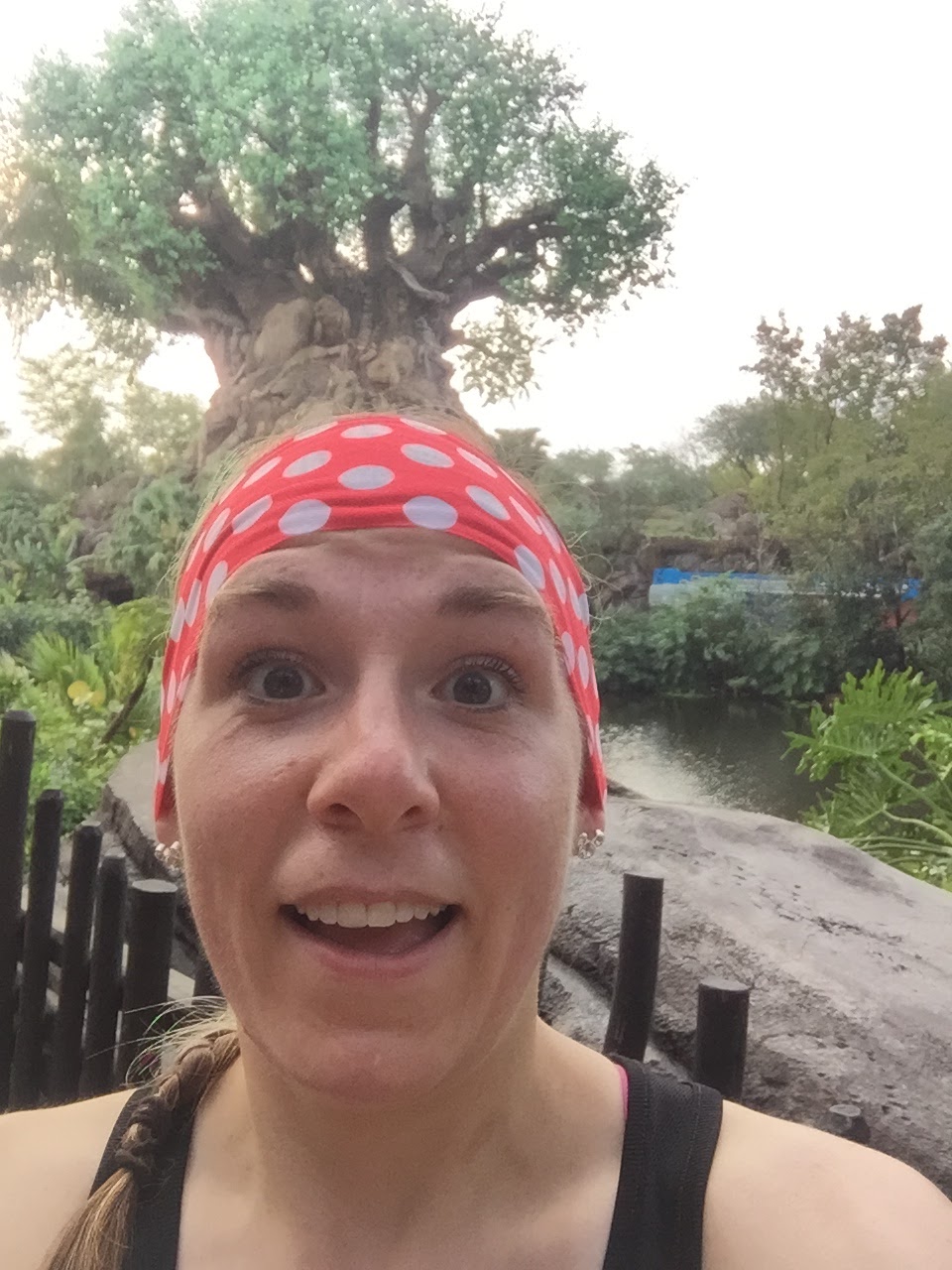 Dopey Challenge Mickey Marathon 2016 in Animal Kingdom Halfway