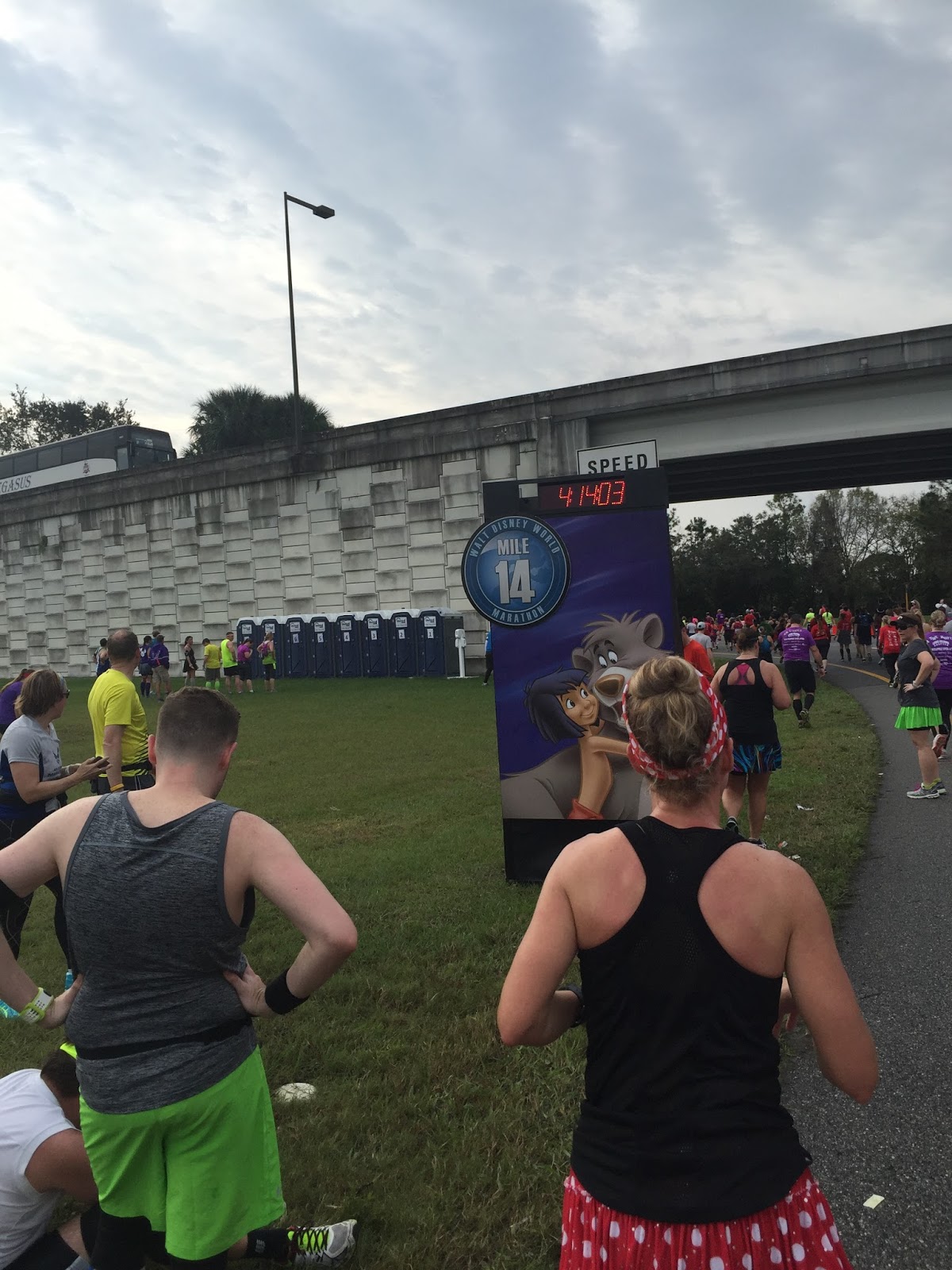 Dopey Challenge Mickey Marathon 2016 Mile 14