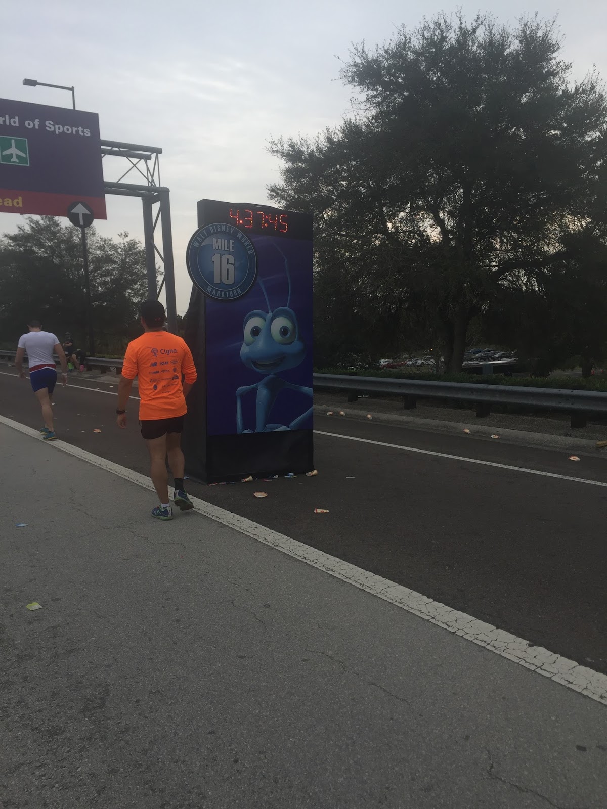 Dopey Challenge Mickey Marathon 2016 Mile 16
